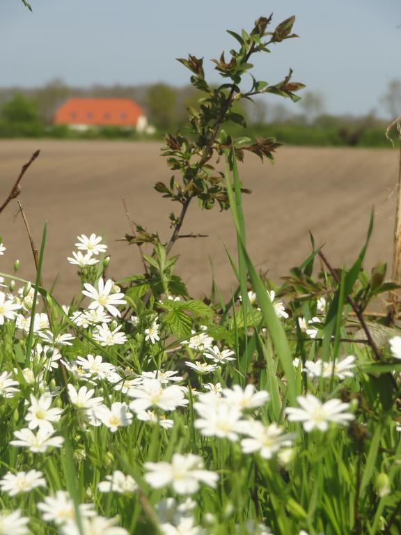 Land & Meer Hasselberg  Екстер'єр фото