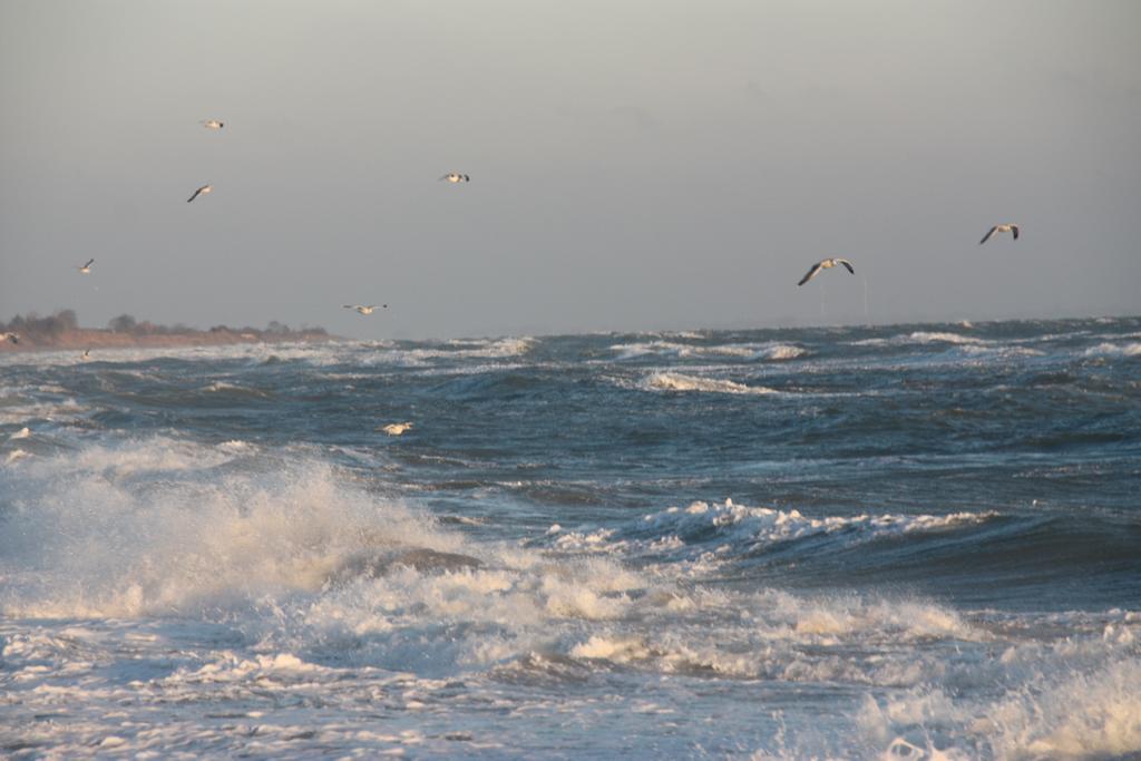 Land & Meer Hasselberg  Екстер'єр фото